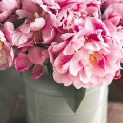 Kategorifilter Brollop Student