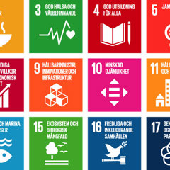 Karta Globala Malen Logo Och Ikoner