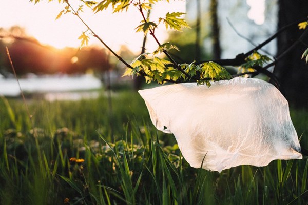 En plastpåse som skräpar ner en gräsmatta.