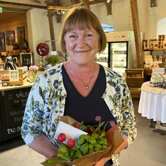 Sylvia Idström Minimeringsmästarna